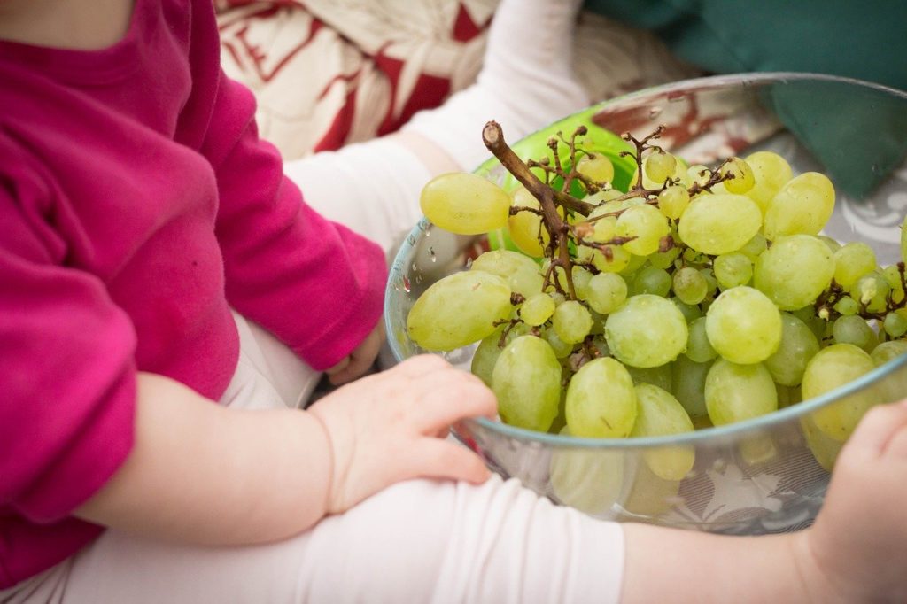 Makanan Mpasi Pertama untuk Bayi 6 Bulan 