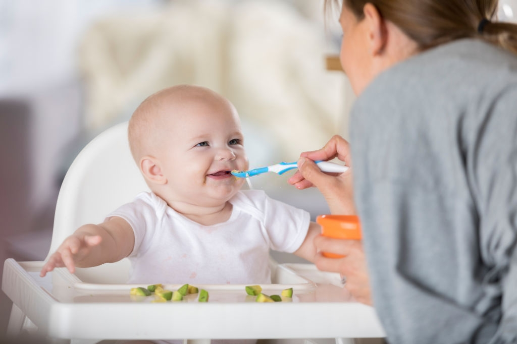 Menu Makanan MPASI Bayi 6 Bulan