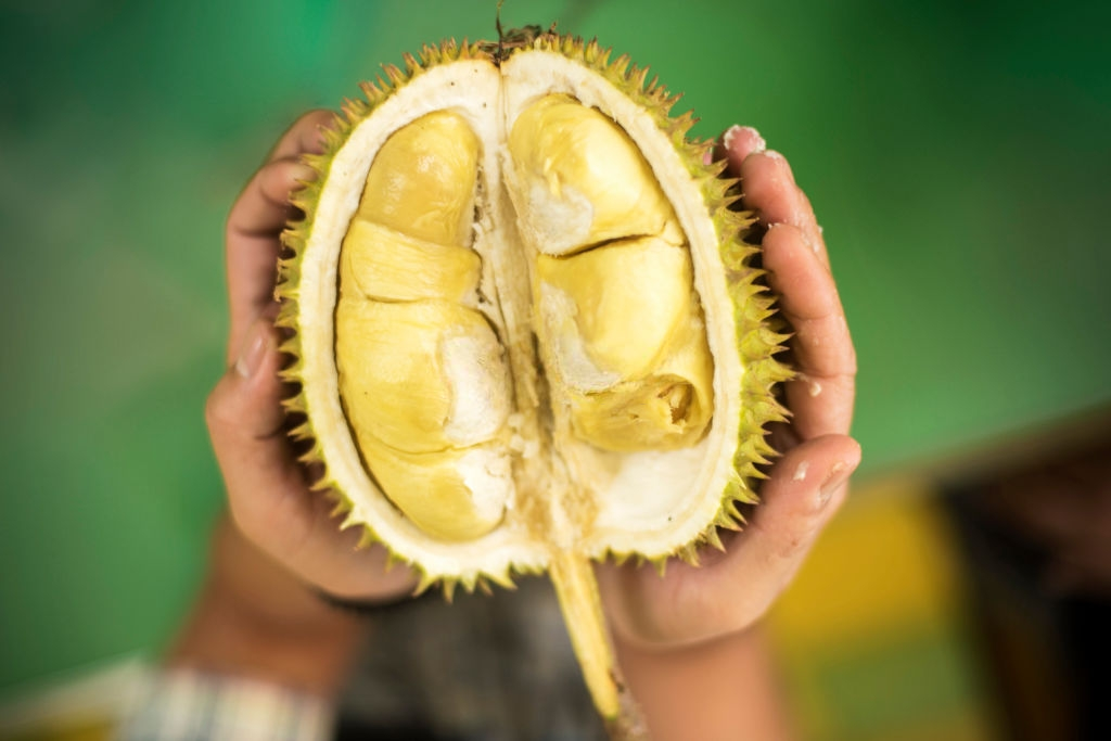 Buah yang Tidak Boleh Dimakan Ibu Hamil