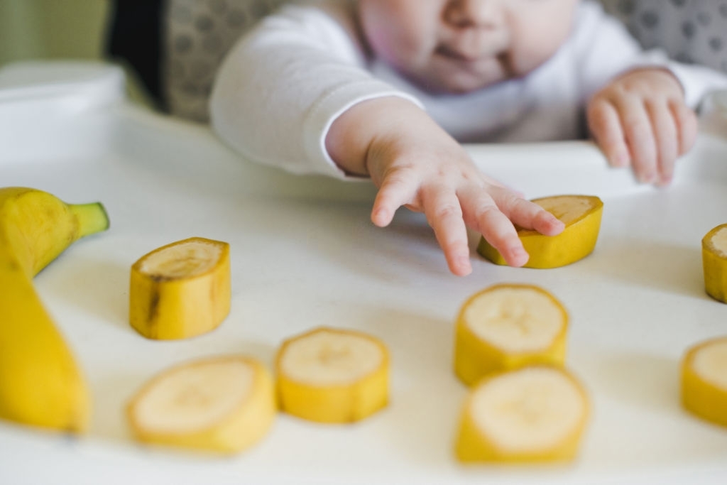 makanan sehat bayi 6 bulan