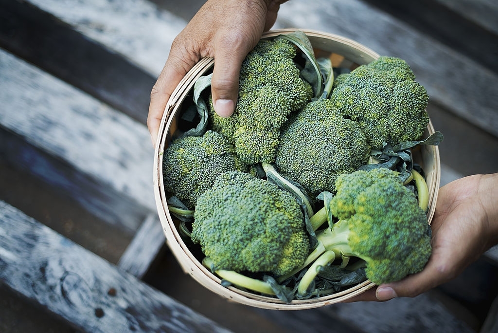 makanan sehat untuk penyakit tumor