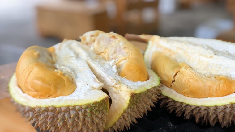 Bolehkah Hamil Makan Durian? Ketahui Manfaat dan Risikonya!