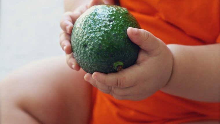 Dukung Perkembangan Otak Anak dengan Makanan MPASI agar Bayi Cerdas