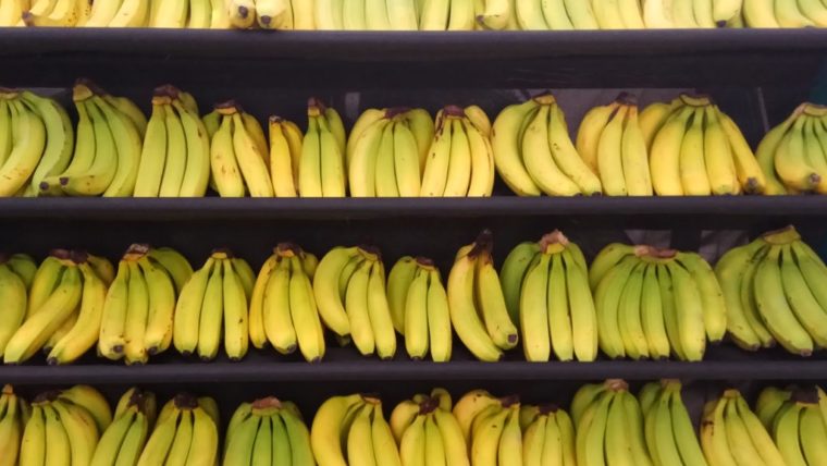 Favorit Banyak Orang, Ternyata Pisang Tanduk Punya Banyak Manfaat