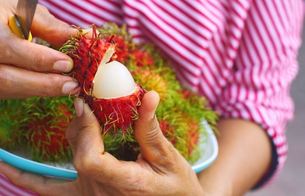 Bolehkah Ibu Hamil Makan Rambutan? Ini Manfaat dan Resikonya!