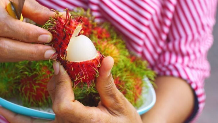 Bolehkah Ibu Hamil Makan Rambutan? Ini Manfaat dan Resikonya!