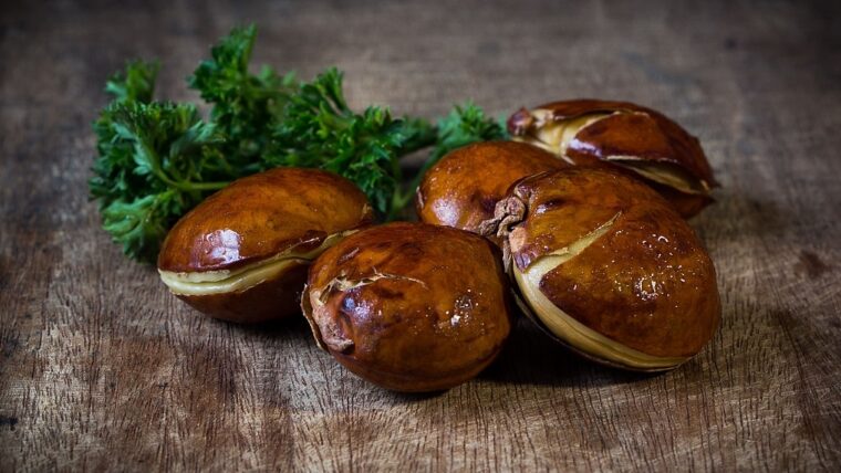 Enak dan Lezat, Tapi Bolehkah Ibu Hamil Makan Jengkol?