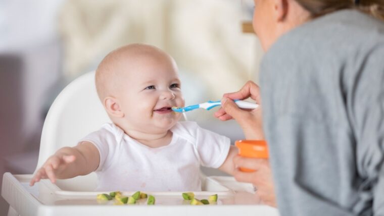 Moms, Ini Dia Contoh Menu MPASI 6 Bulan Pertama Terbaik untuk Si Kecil