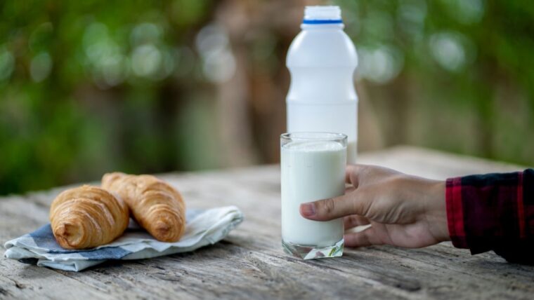 3 Susu Penyubur Kandungan untuk Program Hamil Moms