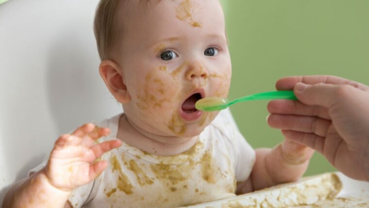 Resep Makanan Anak Sebelum 1 Tahun Enak Dibandingkan Bubur Instan